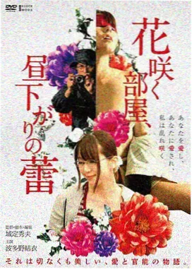 天龙影院电影片单 第七次日落